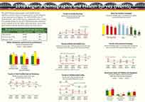 Cover of Nigeria DHS 2018 Fact Sheet (English)