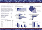 Cover of Tanzania 2004 DHS Fact Sheet (English)