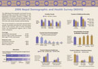 Cover of Nepal 2006 DHS Fact Sheet (English)