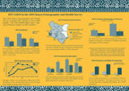 Cover of Kenya DHS, 2003 - HIV Fact Sheet (English)