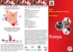 Cover of Kenya MIS 2015 Malaria Fact Sheet (English)