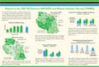 Cover of Tanzania MIS 2007 Malaria Fact Sheet (English)
