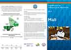 Cover of 2021 Mali MIS Fact Sheet (French)
