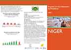Cover of Niger MIS 2021 - Malaria Fact Sheet (French)