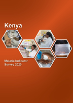 Cover of Kenya MIS, 2020 - Final Report (English)