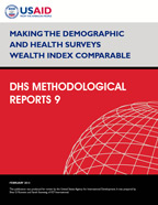 Cover of Making the Demographic and Health Surveys Wealth Index Comparable (English)