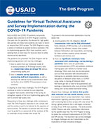 Cover of Guidelines for Virtual Technical Assistance and Survey Implementation during the Covid-19 Pandemic (English)