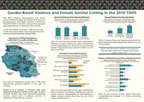 Cover of Tanzania 2010 DHS Gender Based Violence Factsheet (English)