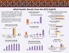 Cover of Kyrgyz Republic DHS 2012 - 5 Fact Sheets (English)