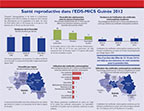 Cover of Guinea DHS 2012 - 2 Fact Sheets (French)