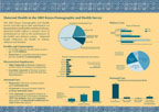 Cover of Kenya 2003 DHS Maternal Health Fact Sheet (English)