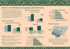 Cover of Nigeria 2003 DHS Gender Fact Sheet (English)