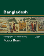 Cover of Bangladesh DHS 2014 - Policy Briefs (English)
