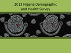 Cover of Nigeria: DHS, 2013 - Survey Presentations (English)