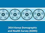 Cover of Kenya: DHS, 2014 - Survey Presentations (English)