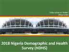 Cover of Nigeria: DHS, 2018 - Survey Presentations (English)