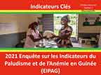 Cover of Guinea MIS 2021 - Survey Presentations (French)