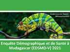 Cover of Madagascar DHS 2021 - Survey Presentations (French)