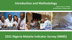 Cover of Nigeria MIS 2021 - Survey Presentations (English)