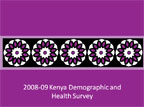 Cover of Kenya: DHS, 2008-09 - Survey Presentations (English)