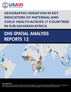 Cover of Geographic Variation in Key Indicators of Maternal and Child Health Across 27 Countries in Sub-Saharan Africa (English)