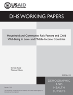 Cover of Household and Community Risk Factors and Child Well-Being in Low- and Middle-Income Countries (English)