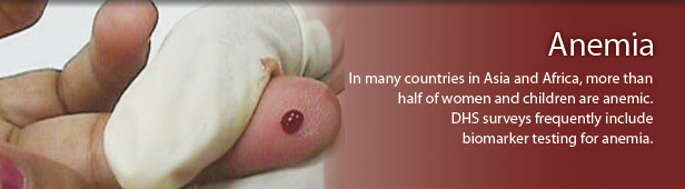 In many countries in Asia and Africa, more than half of women and children are anemic. DHS surveys frequently include biomarker testing for anemia. (Photo credit: ICF Macro)
