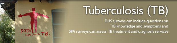 DHS surveys can include questions on
TB knowledge and symptoms and
SPA surveys can assess  TB treatment and diagnosis services. (Photo credit: © 2008 Anil Gulati, Courtesy of Photoshare)   